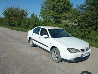 Nissan Primera foto 2