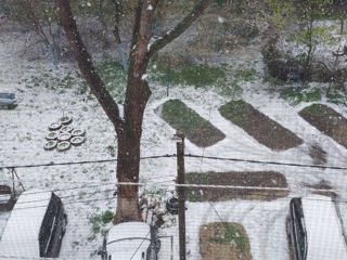 Ap. 1 cam., 35 м², 1/5 et.