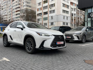 Lexus NX Series