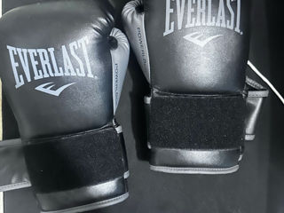 Manusi de box 16 Oz + bandaje Everlast