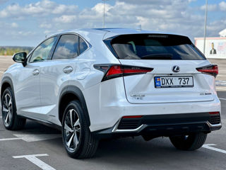 Lexus NX Series foto 4