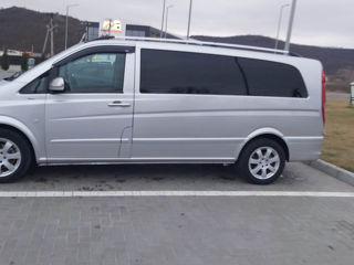 Mercedes Viano foto 8