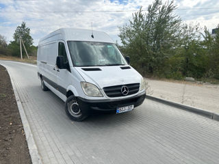 Mercedes Sprinter/Delfin