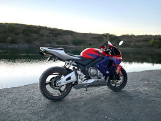 Honda CBR600RR foto 3