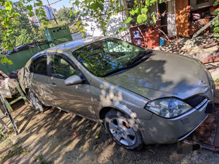 Nissan Primera foto 2