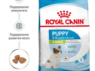 Сухой корм для щенков Royal Canin X-Small Puppy фото 1