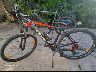 Vind urgent biciclete foto 10