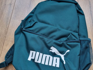 Puma nou original foto 4