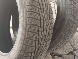 Nokian 205/55   R 16