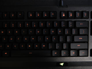 Клавиатура Razer Cynosa Lite 100% foto 9