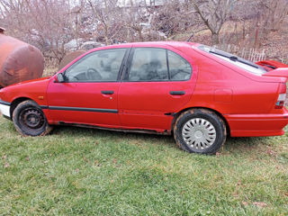 Nissan Primera foto 3