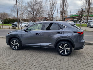 Lexus NX Series foto 8