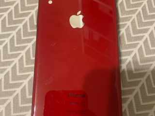 iPhone Xr 64Gb foto 2