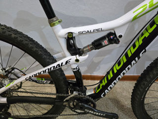 Cannondale Scalpel Carbon Lefty 29" size M foto 8