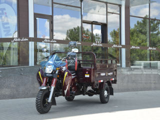 Tiger 200cc / 250cc /300сс foto 17