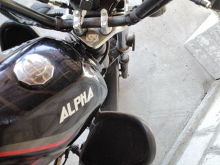 Alpha Moto Alpha foto 4