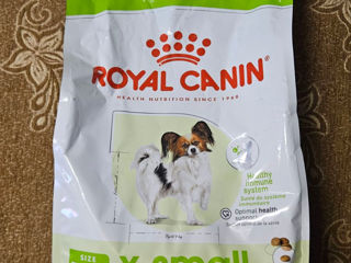 Royal Canin XS small adult 3 kg