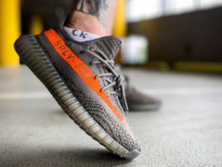 Adidas Yeezy Boost 350 Beluga foto 2