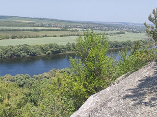 Căsuța în satul Mereșeuca, 8 km de la Naslavcea foto 10