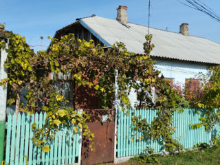 Se vinde casa in Satul Gradinita