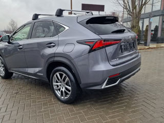 Lexus NX Series foto 5