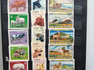 Albume cu timbre postale foto 4