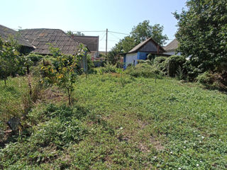 Propunem spre vânzare un teren (9 ari) în orașul bălți, pe strada j. curie 23. foto 3