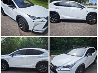 Lexus NX Series foto 6