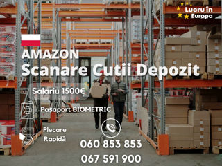 consultareue