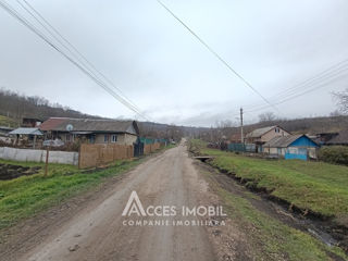 Lot de teren agricol, 244 ari. Dolinnoe, Valea Coloniței! foto 4