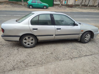 Nissan Primera foto 3