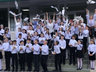 Porumbei pentru nunti, ceremonii foto 8