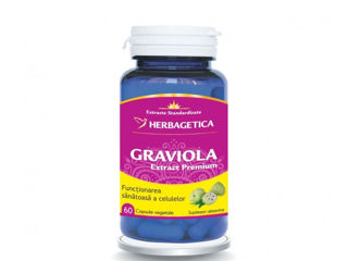 Suc de Graviola 100% fara zahar si conservanti Гравиола сок 100% без сахара и консервантов foto 3