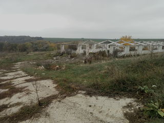 Ферма для животноводства в Шолданештском р-не, на берегу Днестра. foto 2