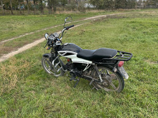 Viper Rx110 foto 5