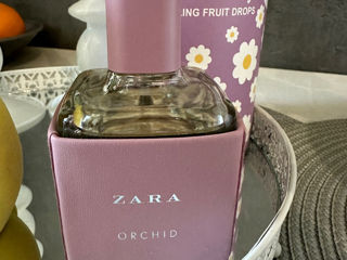 Zara Orchid