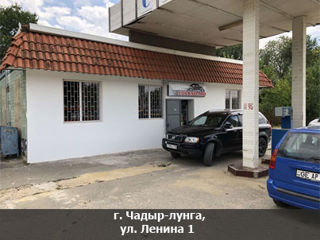 Coleso.md - auto magazin ceadir lunga foto 1