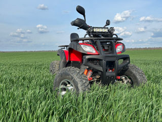 Boss ATV Boss atv foto 3