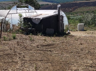 Vând afacere cu sere la cheie in laloveni,
s.Suruceni. foto 4