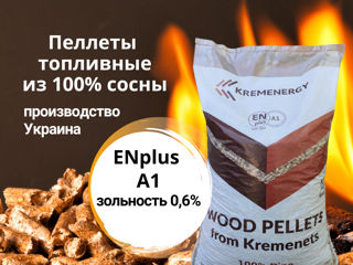 Пеллеты топливные ENplus A1 из 100% сосны  / peleți de 100% pin ENplus A1