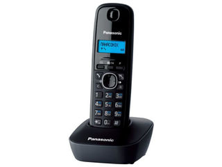 Телефон Panasonic KX-TG1611UA - пасспорт аккумуляторы foto 1