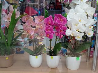 Искусственные цветы орхидея для домашнего декора./Flori artificiali foto 6