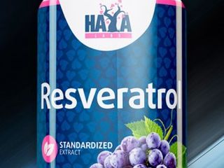 Resveratrol ресвератрол известного как «рейнутрия японская»