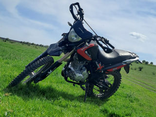 Viper Enduro foto 4