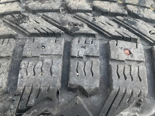 2 Cauciucuri Firestone 225/50R17 foto 5