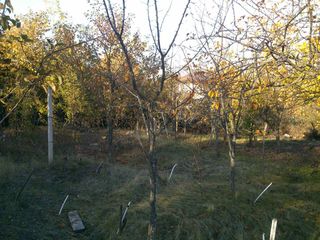 Lot de pământ Dumbrava , 2 km de la Chisinau ! foto 4