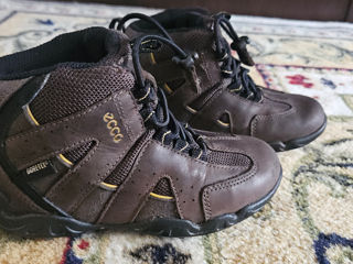 Botine Ecco, gore-tex