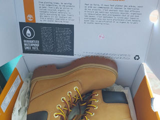 Timberland foto 7