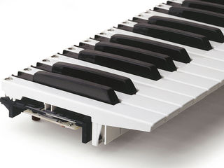 Instalez claviatură semiponderată Fatar la sintezatoare KORG PA-300,600,700,900,1000, Yamaha,Roland foto 5
