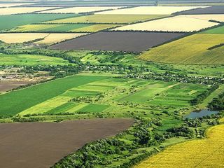 Terenuri agricole 500 hectare foto 1